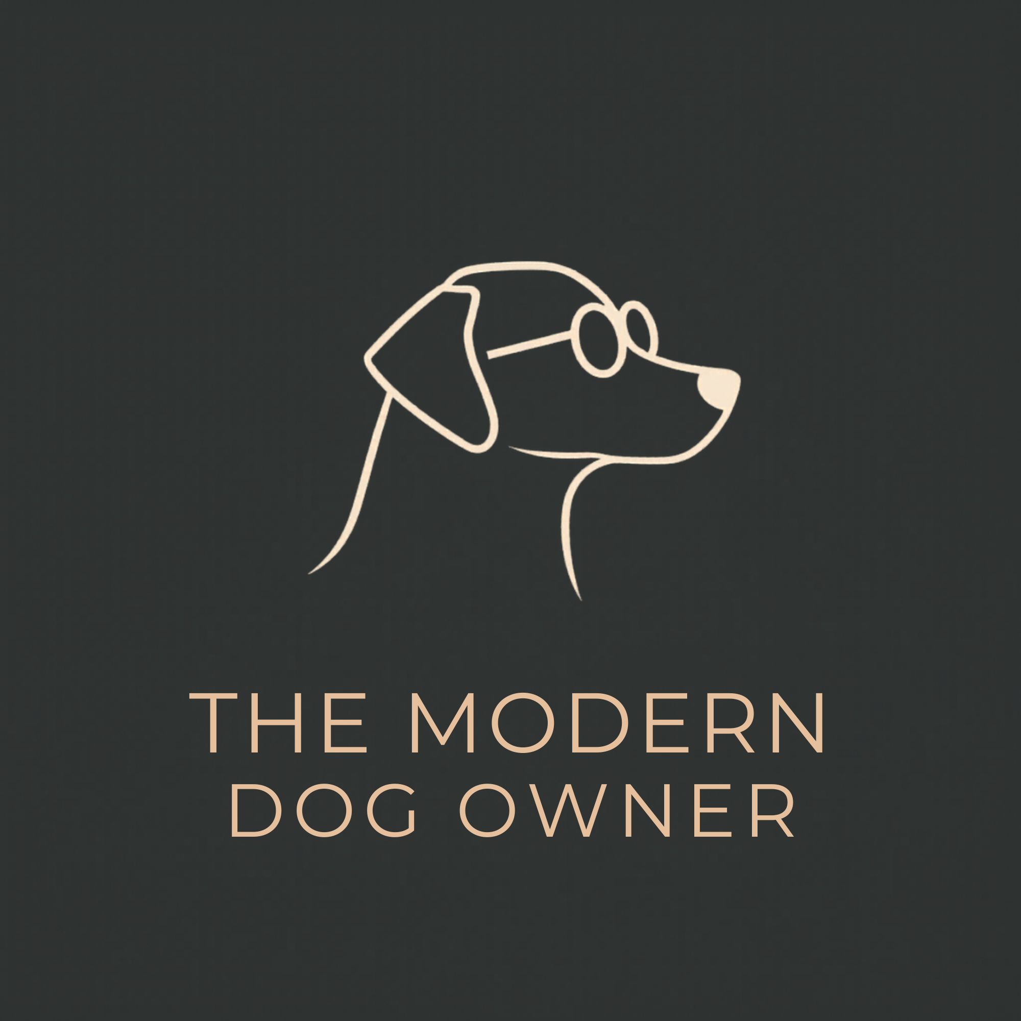 The Modern Dog Owner